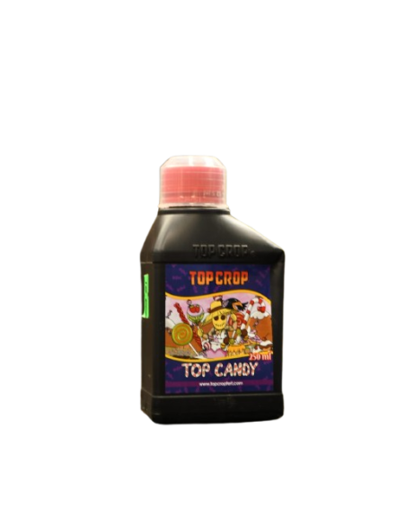 TOP CROP CANDY - Vivero | Outlet Quilmes