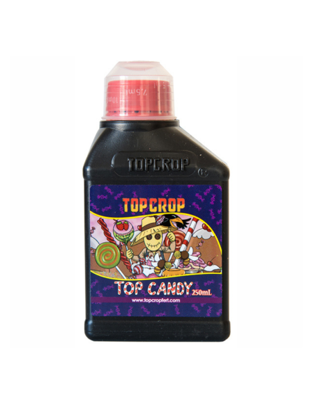 TOP CROP CANDY - Vivero | Outlet Quilmes