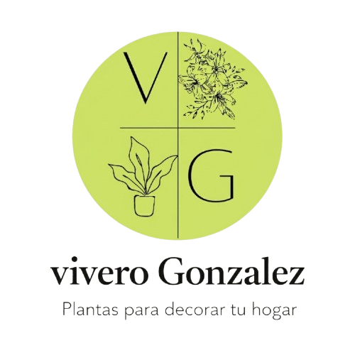 Vivero Gonzalez